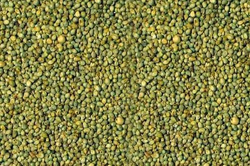 Organic Green Millet